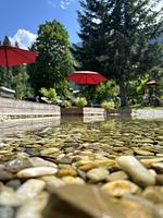 GRUBERS Hotel-Apartments Gastein, das Doggy-Hotel mit Hundebadeteich - Top-Hundeurlaub