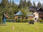 GRUBERS Hotel-Apartments Gastein, das Doggy-Hotel mit Hundebadeteich - Top-Hundeurlaub