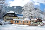 GRUBERS Hotel-Apartments Gastein, das Doggy-Hotel mit Hundebadeteich - Top-Hundeurlaub