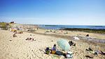 AreaSummer20KM - Ferienwohnung für 4 Personen (46 m²) in Saint-Gilles-Croix-de-Vie - Top-Hundeurlaub