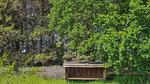 activities - Ferienhaus für 16 Personen (189 m²) in Grenaa - Top-Hundeurlaub