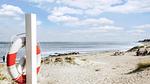 area - Ferienhaus für 16 Personen (189 m²) in Grenaa - Top-Hundeurlaub