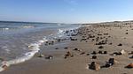 beach - Ferienhaus für 12 Personen (225 m²) - Top-Hundeurlaub
