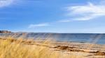 beach - Ferienhaus für 18 Personen (244 m²) in Samsø - Top-Hundeurlaub