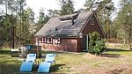 house - Ferienhaus für 6 Personen (59 m²) in Ommen - Top-Hundeurlaub