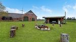 outside - Ferienhaus für 10 Personen (205 m²) in Tarm - Top-Hundeurlaub