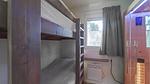 activities - Ferienhaus für 6 Personen (60 m²) in Hellendoorn - Top-Hundeurlaub