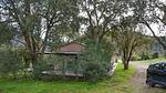 outside - Ferienhaus für 4 Personen (47 m²) in Vignale - Top-Hundeurlaub