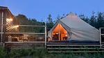 outside - Ferienhaus für 4 Personen (25 m²) in Sejerø - Top-Hundeurlaub
