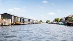 view-from-room - Ferienhaus für 4 Personen (36 m²) in Breukelen - Top-Hundeurlaub