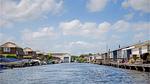 view-from-room - Ferienhaus für 4 Personen (36 m²) in Breukelen - Top-Hundeurlaub