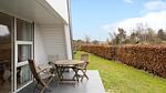 outside - Ferienwohnung für 6 Personen (64 m²) in Knebel - Top-Hundeurlaub