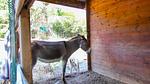 activities - Ferienhaus für 4 Personen (36 m²) in Aubenas - Top-Hundeurlaub