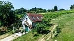 exterior - Ferienhaus für 3 Personen (65 m²) in Strem - Top-Hundeurlaub