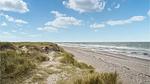 house - Ferienhaus für 6 Personen (69 m²) in Anholt - Top-Hundeurlaub