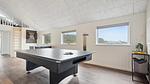 activities - Ferienhaus für 18 Personen (240 m²) in Ringkøbing - Top-Hundeurlaub