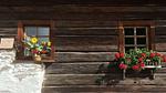 Untagged - Ferienhaus für 8 Personen (200 m²) in Fresach - Top-Hundeurlaub