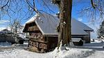 Untagged - Ferienhaus für 8 Personen (200 m²) in Fresach - Top-Hundeurlaub