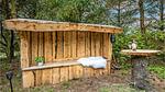 outside - Ferienhaus für 4 Personen (56 m²) in Hemmet - Top-Hundeurlaub