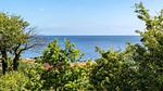 view-from-room - Ferienwohnung für 6 Personen (67 m²) in Gudhjem - Top-Hundeurlaub