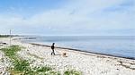 house - Ferienhaus für 6 Personen (70 m²) in Sjællands Odde - Top-Hundeurlaub