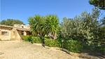 house - Ferienhaus für 4 Personen (100 m²) in Castelvetrano - Top-Hundeurlaub