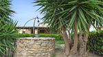 outside - Ferienhaus für 4 Personen (100 m²) in Castelvetrano - Top-Hundeurlaub