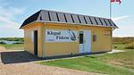 house - Ferienhaus für 6 Personen (72 m²) in Hvide Sande - Top-Hundeurlaub