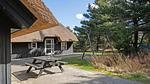 outside - Ferienhaus für 12 Personen (221 m²) in Blåvand - Top-Hundeurlaub