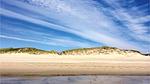 beach - Ferienhaus für 12 Personen (180 m²) in Hvide Sande - Top-Hundeurlaub