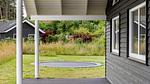 outside - Ferienhaus für 22 Personen (267 m²) in Vejby - Top-Hundeurlaub
