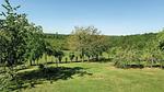 view-from-room - Ferienhaus für 10 Personen (160 m²) in Eyliac - Top-Hundeurlaub