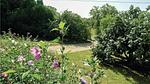 outside - Ferienhaus für 10 Personen (160 m²) in Eyliac - Top-Hundeurlaub