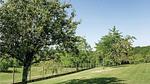 outside - Ferienhaus für 10 Personen (160 m²) in Eyliac - Top-Hundeurlaub