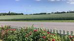 Outdoor - Ferienhaus für 7 Personen (121 m²) in Horslunde - Top-Hundeurlaub