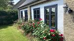 Outdoor - Ferienhaus für 7 Personen (121 m²) in Horslunde - Top-Hundeurlaub