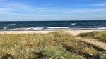 Outdoor - Ferienhaus für 6 Personen (85 m²) in Millinge - Top-Hundeurlaub