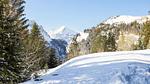 Untagged - Ferienwohnung für 7 Personen (40 m²) in Arâches-la-Frasse - Top-Hundeurlaub