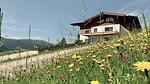 Untagged - Ferienhaus für 6 Personen (80 m²) in Unken - Top-Hundeurlaub