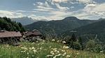 Untagged - Ferienhaus für 6 Personen (80 m²) in Unken - Top-Hundeurlaub