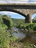 Ferienwohnung "Kellerwald" im hessischen Sauerland, mit direktem Waldzugang und eingezäuntem Garten. Bis zu 3 Hunde urlauben gratis! - Top-Hundeurlaub