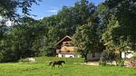 GardenSummer - Ferienwohnung für 12 Personen (130 m²) in Piesendorf - Top-Hundeurlaub