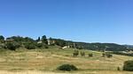 ExteriorSummer - Bauernhof für 6 Personen (100 m²) in Umbertide - Top-Hundeurlaub