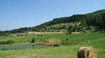 AreaSummer1KM - Bauernhof für 4 Personen (65 m²) in Dicomano - Top-Hundeurlaub
