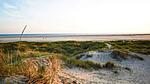 WaterView - Ferienhaus für 6 Personen (87 m²) in Fanø - Top-Hundeurlaub