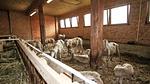 restaurant - Ferienwohnung für 4 Personen (60 m²) in Längenfeld - Top-Hundeurlaub
