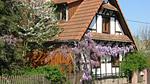 exterior - Ferienwohnung für 2 Personen (35 m²) in Schwabwiller - Top-Hundeurlaub