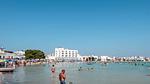 house - Ferienwohnung für 2 Personen (55 m²) in Porto Cesareo - Top-Hundeurlaub
