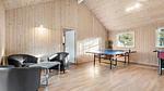 activities - Ferienhaus für 22 Personen (298 m²) in Blåvand - Top-Hundeurlaub