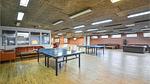 activities - Ferienhaus für 32 Personen (1400 m²) in Allingåbro - Top-Hundeurlaub